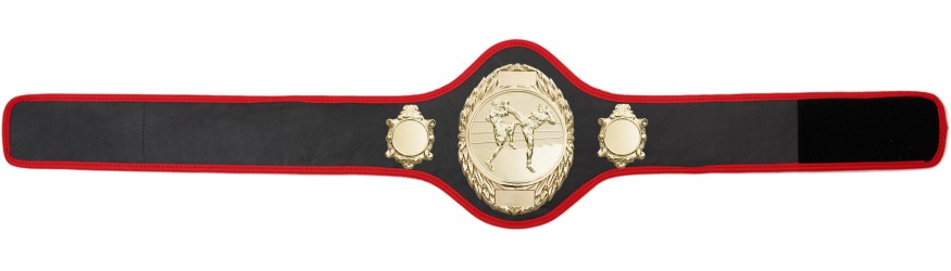THAI BOXING CHAMPIONSHIP BELT-PRO286/G/TBOG-10+ COLOURS